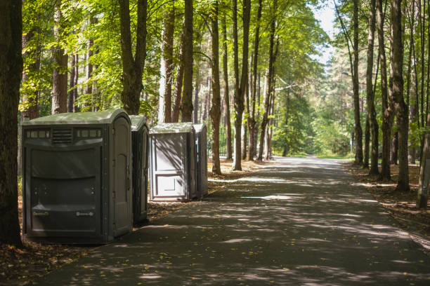 Best Portable toilet rental cost  in Mcgaheysville, VA